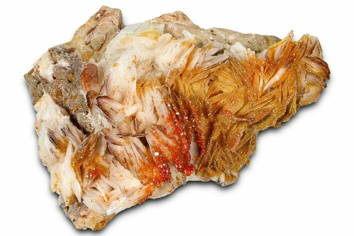 Glittering Ruby Red Vanadinite Crystals on Barite - Morocco #365778